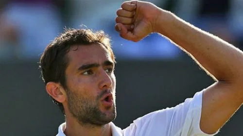 Прогноз на матч Шарди – Чилич, Пуйе — Лоренци | ВсеПроСпорт.ру