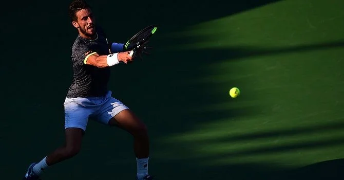 Григор Димитров - Дамир Джумхур Григор Димитров - Дамир Джумхур