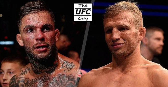 Коди Гарбрандт - Ти Джей Диллашоу Коди Гарбрандт - Ти Джей Диллашоу