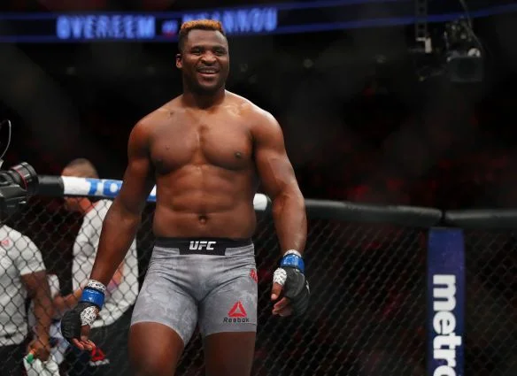 Стипе Миочич - Фрэнсис Нганну Стипе Миочич - Фрэнсис Нганну