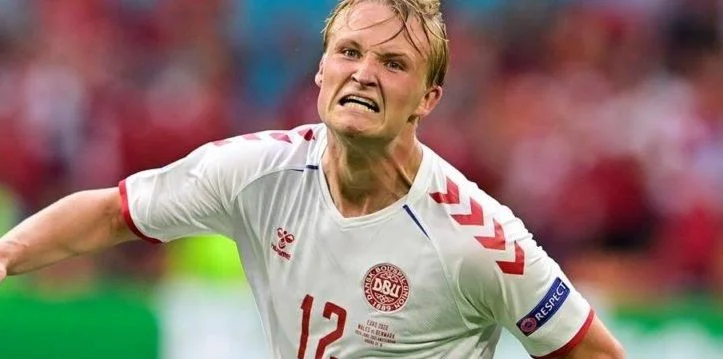 Чехия - Дания