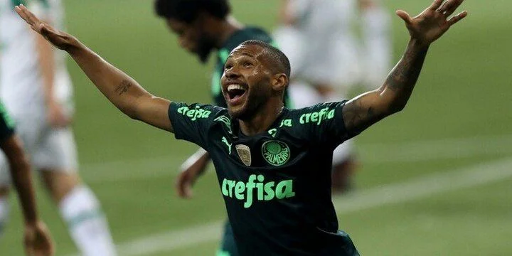 Спорт - Палмейрас