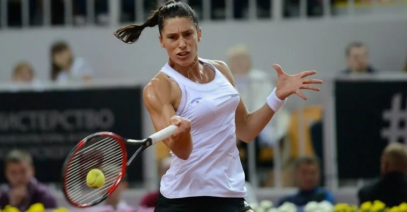 Анна-Лена Фридзам - Андреа Петкович