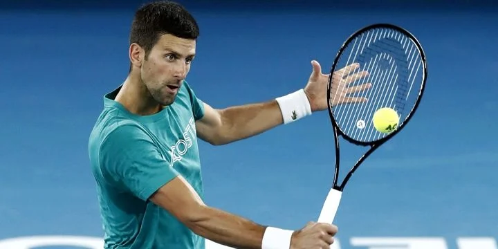 Новак Джокович - Алехандро Давидович Фокина Новак Джокович - Алехандро Давидович Фокина