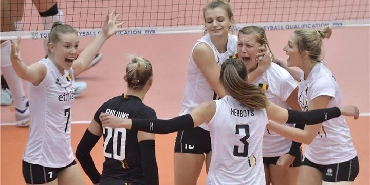 Босния и Герцеговина - Бельгия Босния и Герцеговина - Бельгия