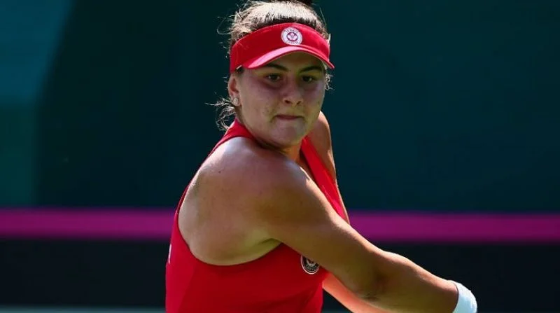 Гретье Миннен - Бьянка Андрееску