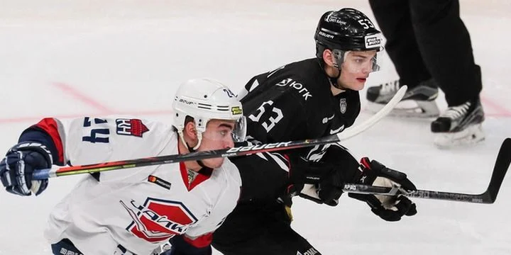 Чайка - Стальные Лисы