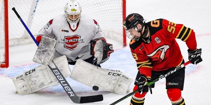 Чайка - Белые Медведи Чайка - Белые Медведи