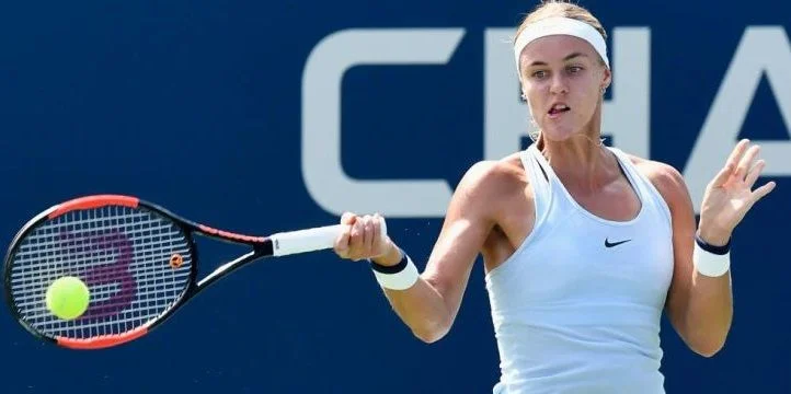 Анна Шмидлова - Ана Конюх