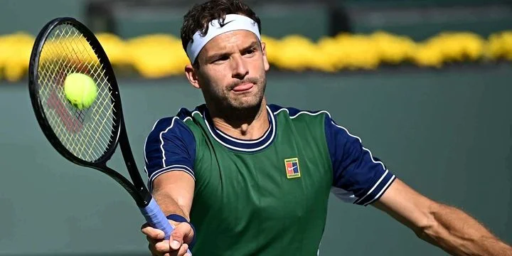 Григор Димитров - Кэмерон Норри Григор Димитров - Кэмерон Норри