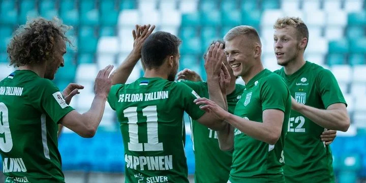 Анортосис - Флора