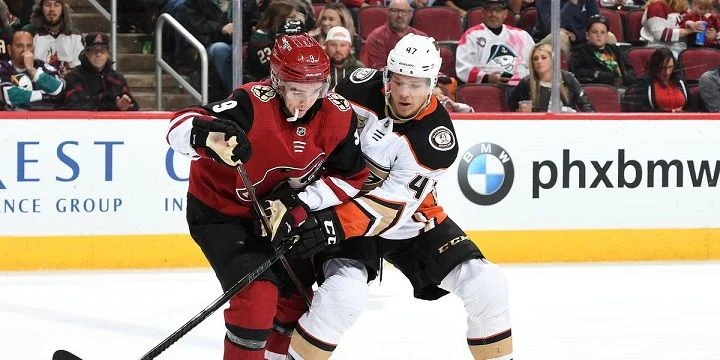 Анахайм - Аризона