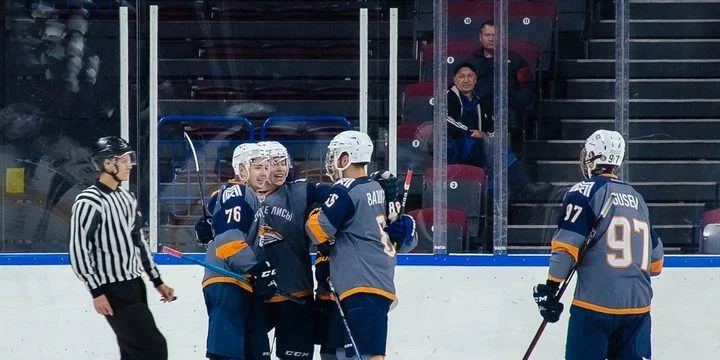 Стальные Лисы - Мамонты Югры