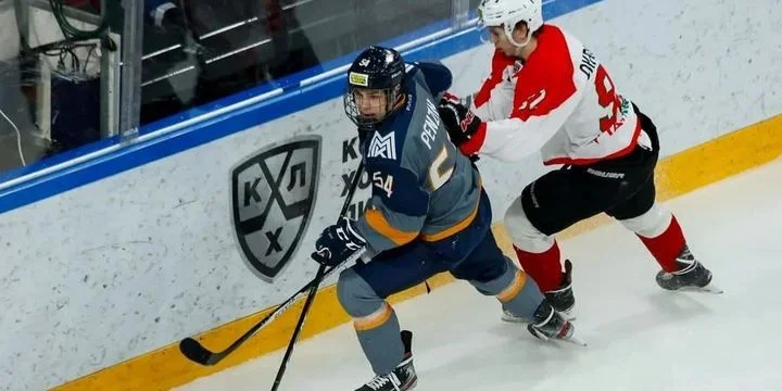 Стальные Лисы - Тюменский Легион