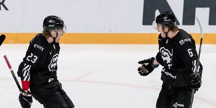 Белые Медведи - Спутник Альметьевск