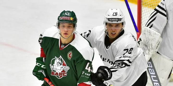 Барс - Рубин