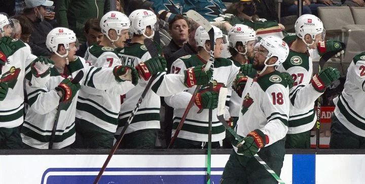 Миннесота - Каролина