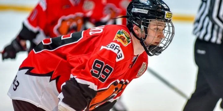 Кузнецкие Медведи - Ладья Тольятти