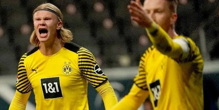 Боруссия Д - Фрайбург Боруссия Д - Фрайбург