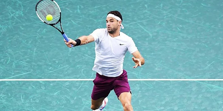 Григор Димитров - Иржи Лехечка