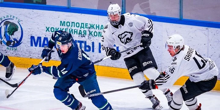Белые Медведи - Чайка Белые Медведи - Чайка