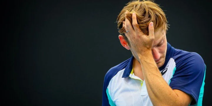 Пабло Каррено-Буста - Давид Гоффен