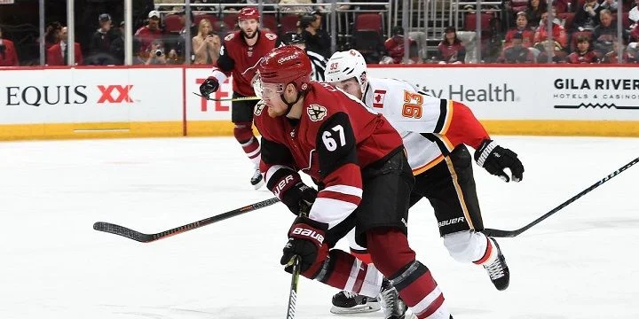 Калгари - Аризона