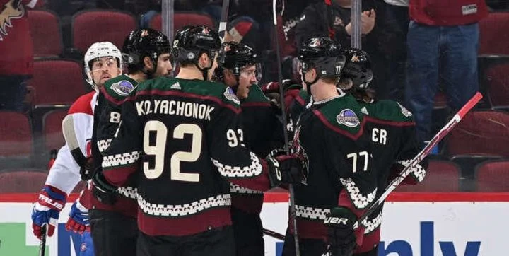 Аризона - Каролина Аризона - Каролина