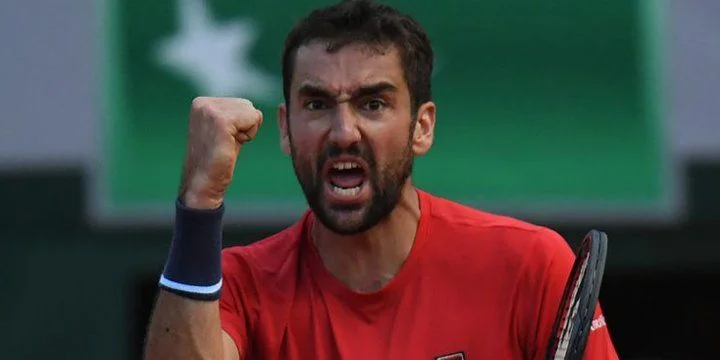 Марин Чилич - Альберт Рамос-Винолас Марин Чилич - Альберт Рамос-Винолас