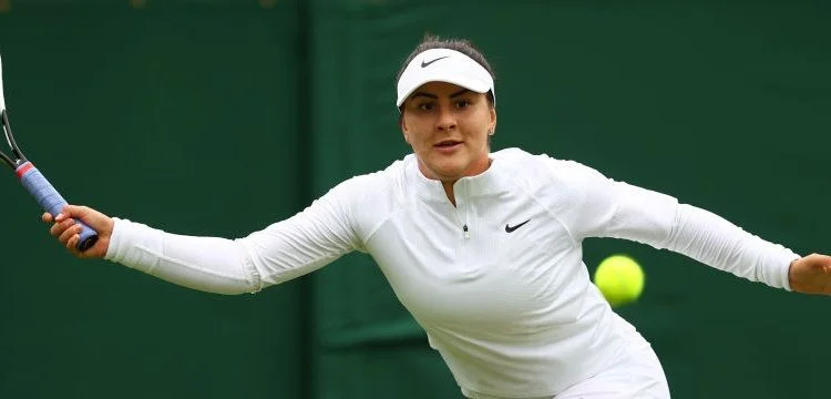 Бьянка Андрееску - Исалин Бонавантюр