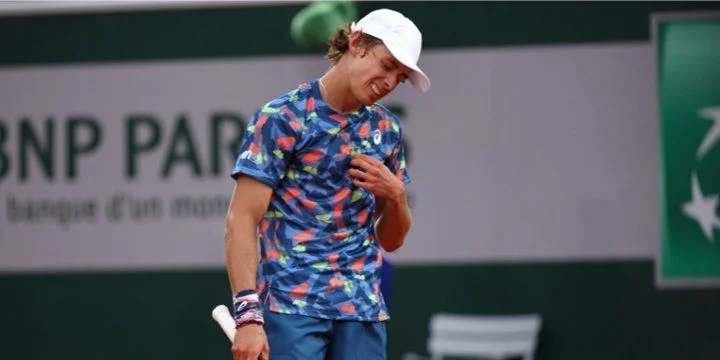 Алекс Де Минаур - Крис Гарин