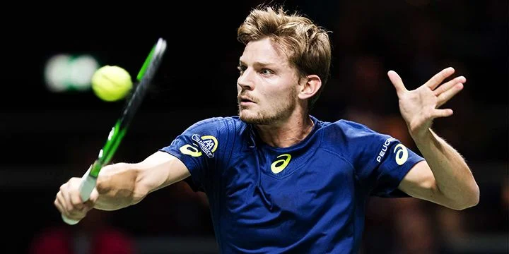 Давид Гоффен - Раду Албот