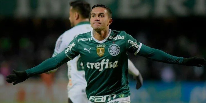 Серро Портеньо - Палмейрас