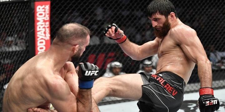 Магомед Анкалаев — Энтони Смит: прогноз на UFC