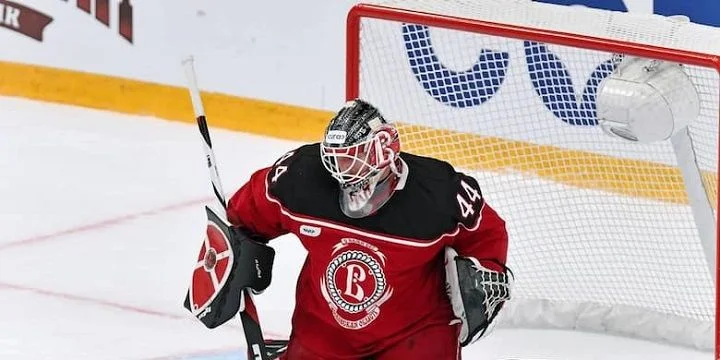 Витязь - Барыс Витязь - Барыс