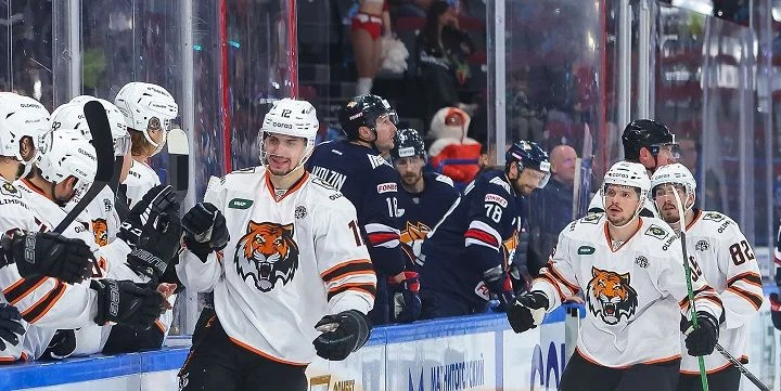 Амур - Шанхайские Драконы Амур - Шанхайские Драконы