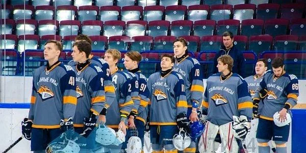 Стальные Лисы - Ладья Тольятти