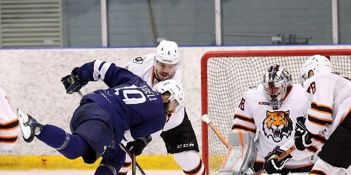 Динамо М - Амур Динамо М - Амур