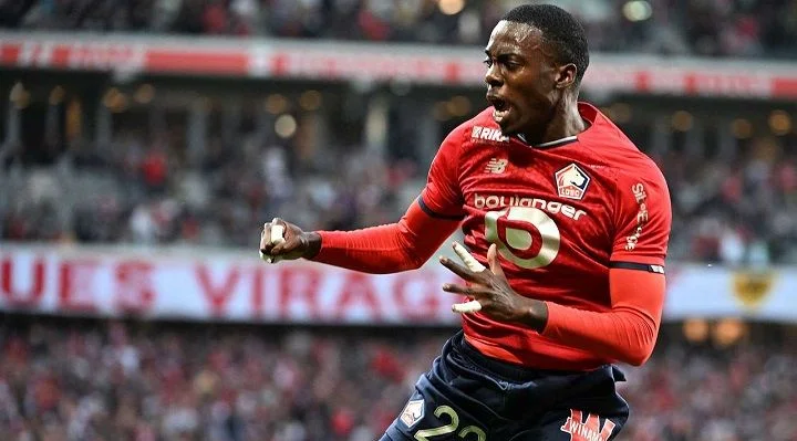 Лилль - Анже Лилль - Анже