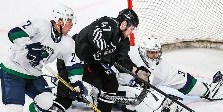 Спутник Альметьевск - Белые Медведи