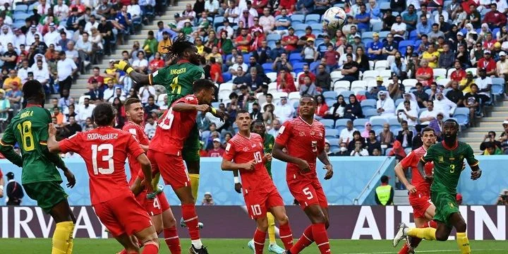 Бразилия - Швейцария Бразилия - Швейцария