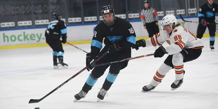 Динамо Шинник - Сахалинские Акулы