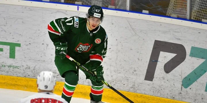 Барс - Торос