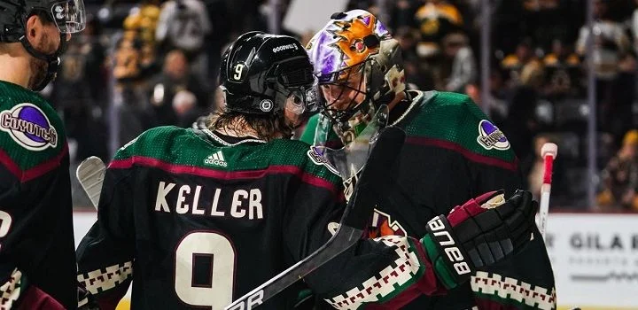 Аризона - Айлендерс