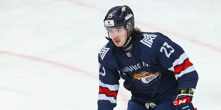 Стальные Лисы - Спутник Альметьевск