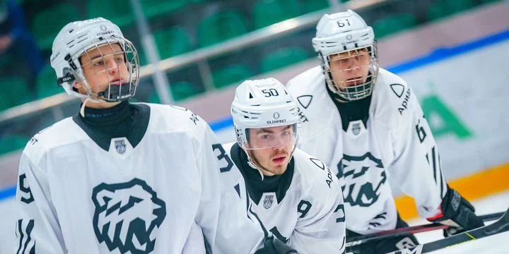 Белые Медведи - Ладья Тольятти