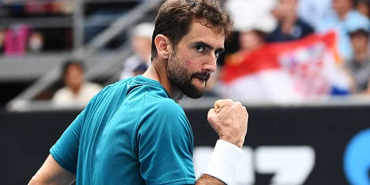 Марин Чилич - Таллон Грикспур