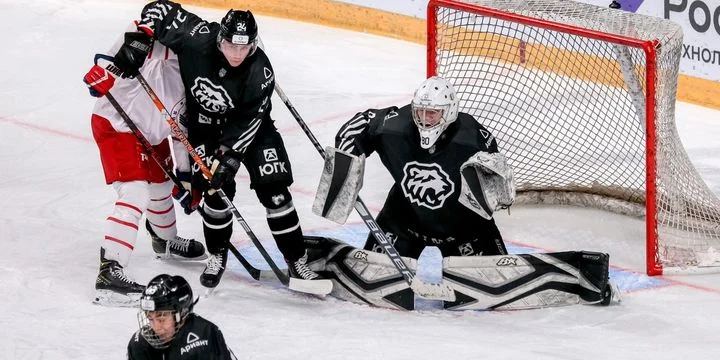 Белые Медведи - Чайка