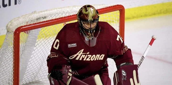 Аризона - Миннесота