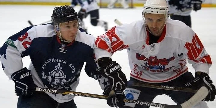 Барс - Сокол